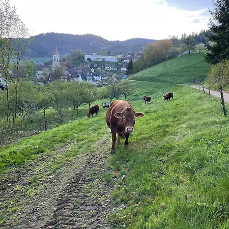 Wolfshound * Ottenhofen im Schwarzwald