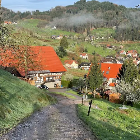 Wolfshound * Ottenhofen im Schwarzwald