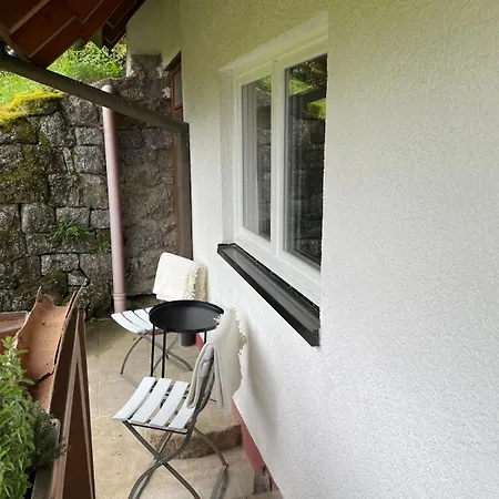 Hébergement de vacances Wolfshound Ottenhofen im Schwarzwald