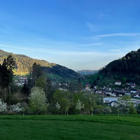 Wolfshound * Ottenhofen im Schwarzwald