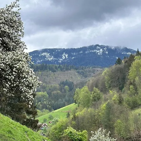 Wolfshound Hébergement de vacances Ottenhofen im Schwarzwald